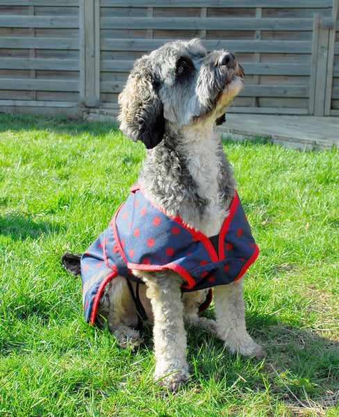 Rhinegold Highland Waterproof Dog Coat