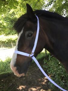 White Web Show Halter